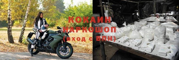 стафф Корсаков