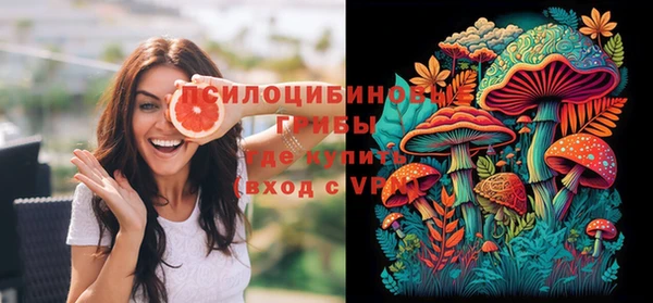 индика Красноперекопск