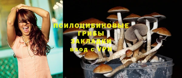 ECSTASY Кулебаки