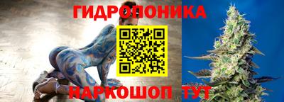 МДПВ Краснознаменск
