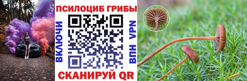 Галлюциногенные грибы GOLDEN TEACHER  где можно купить   Лениногорск 