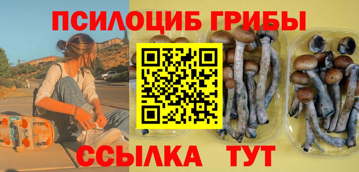 Галлюциногенные грибы мухоморы  как найти   Лениногорск  Вход с VPN 